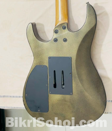 Fernandes Electric Guiter